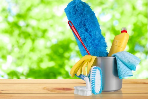 Professional carpet cleaning service terms document opening section