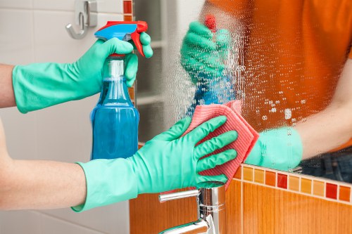 Seven Kings Carpet Cleaners professional team introducing the company