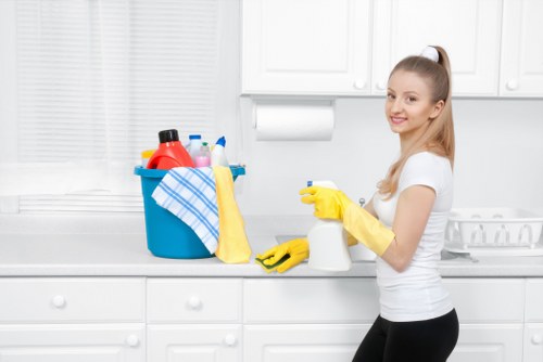 Cleaning tools used for pet stain and odour removal