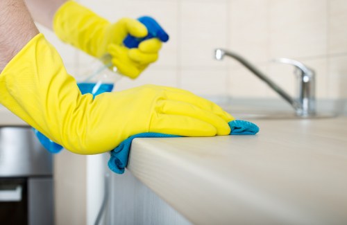 Deep cleaning carpet stains caused by pets in Seven Kings
