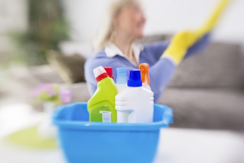 Professional sofa cleaning process for household furniture