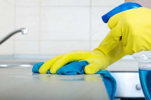 Technician performing mattress cleaning in a Seven Kings home