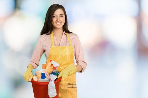 Illustration representing essential cookies for a cleaning service website