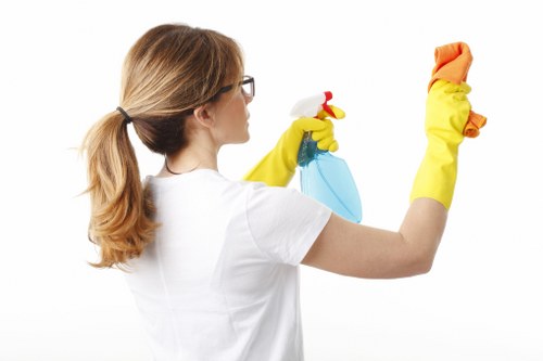 Carpet and upholstery stain cleaning in Seven Kings