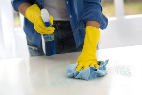 Pricing, payment, and appointment terms for carpet cleaning services